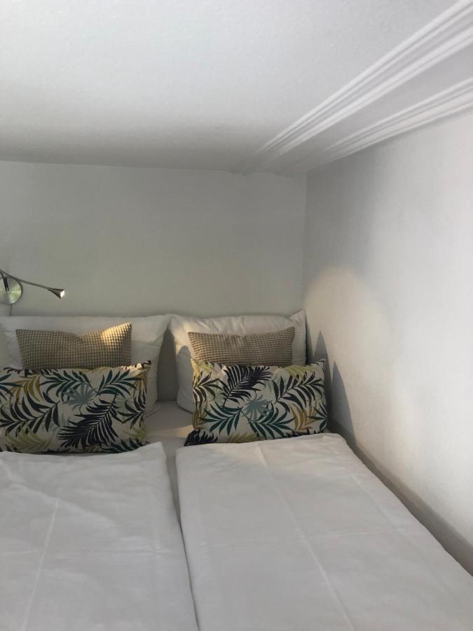 Apartment Molea ไฟรบวร์กอิมไบรส์เกา ภายนอก รูปภาพ